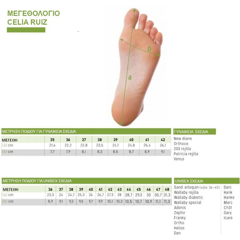 Alternative view of CELIA RUIZ Ορθοπεδική Παντόφλα REJILLA 208